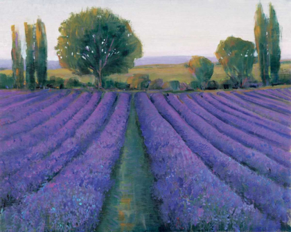 Picture of LAVENDER FIELD II