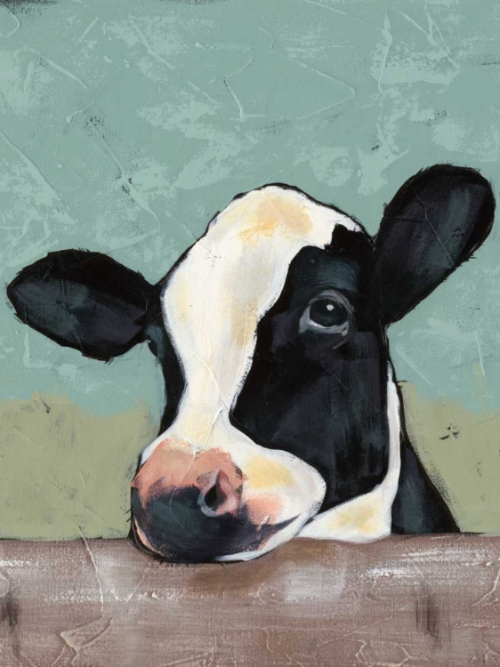 Picture of HOLSTEIN COW II