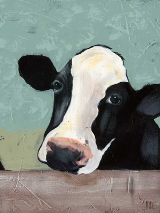 Picture of HOLSTEIN COW III