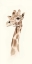 Picture of SAFARI PORTRAIT III