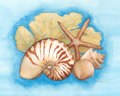 Picture of SEASHELLS AND SEAFAN I