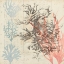 Picture of SEA EPHEMERA IV