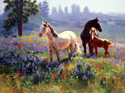 Picture of SEASON OF CONTENTMENT