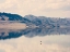 Picture of REFLECTION I