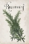 Picture of HERB COLLECTION D