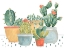 Picture of SIMPLE SUCCULENT COLLECTION A