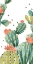 Picture of SIMPLE SUCCULENT COLLECTION B