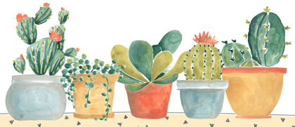 Picture of SIMPLE SUCCULENT COLLECTION D