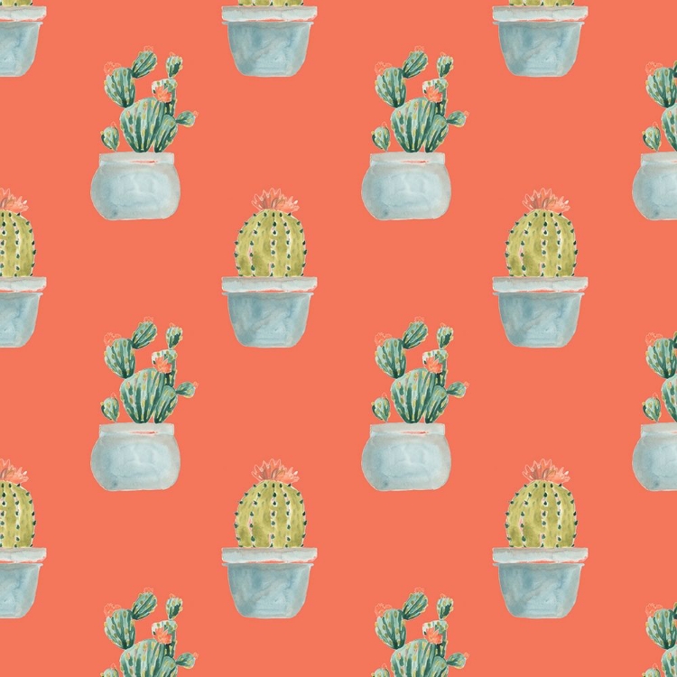 Picture of SIMPLE SUCCULENT COLLECTION I