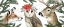 Picture of TIMBERLAND CHRISTMAS COLLECTION D