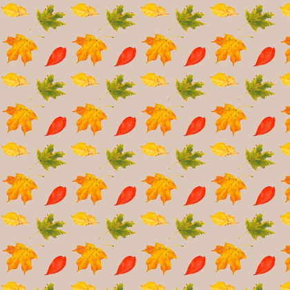 Picture of AUTUMN LEAVES COLLECTION F