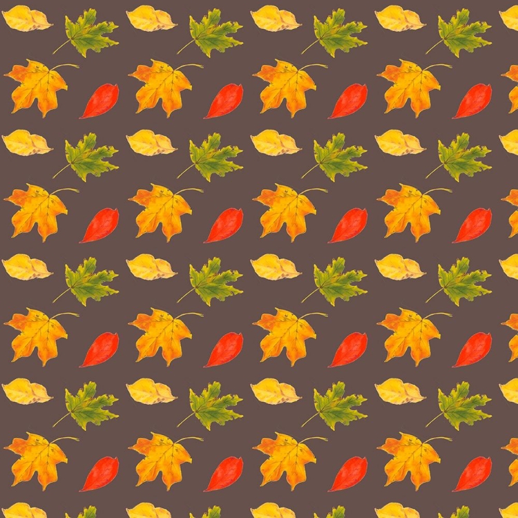 Picture of AUTUMN LEAVES COLLECTION G