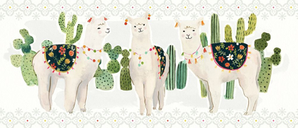 Picture of SWEET ALPACA COLLECTION D
