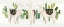 Picture of SWEET ALPACA COLLECTION D