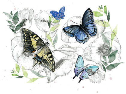 Picture of WATERCOLOR BUTTERFLY COLLECTION A