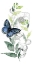 Picture of WATERCOLOR BUTTERFLY COLLECTION B