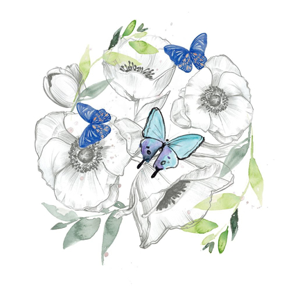 Picture of WATERCOLOR BUTTERFLY COLLECTION C