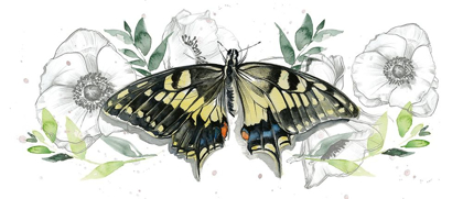 Picture of WATERCOLOR BUTTERFLY COLLECTION D
