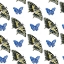 Picture of WATERCOLOR BUTTERFLY COLLECTION F