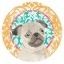 Picture of PARLOR POOCH COLLECTION C