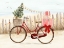 Picture of CHRISTMAS COAST COLLECTION A