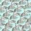 Picture of ROAM FREE COLLECTION F