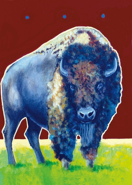 Picture of MR. BISON