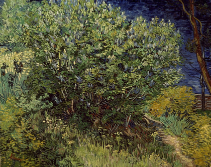 Picture of LILAC BUSH, 1889