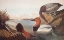 Picture of CANVAS-BACKED DUCK