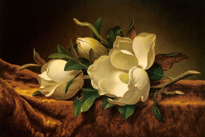 Picture of MAGNOLIA ON GOLD VELVET CLOTH