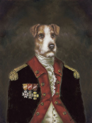 Picture of MASTER RUFUS DE TERRIER