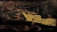 Picture of EXALTED NIGHT