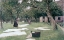 Picture of BLEACHING GROUND