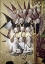 Picture of THE CORONATION OF THE VIRGIN (DETAIL): CHOIR OF ANGELS