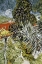 Picture of DR GACHETS GARDEN AT AUVERS-SUR-OISE