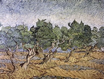 Picture of OLIVE ORCHARD, VIOLET SOIL