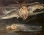 Picture of DIVINE COMEDY: PITY 19TH C.