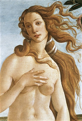 Picture of THE BIRTH OF VENUS (DETAIL)