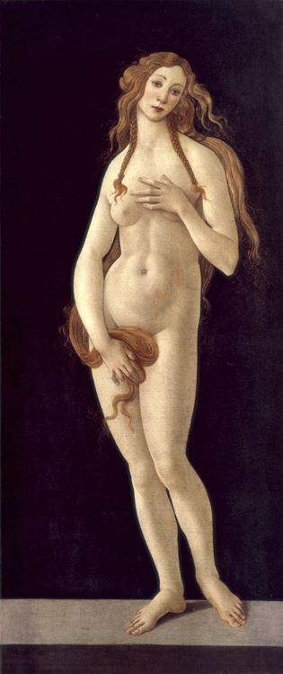 Picture of VENUS PUDICA