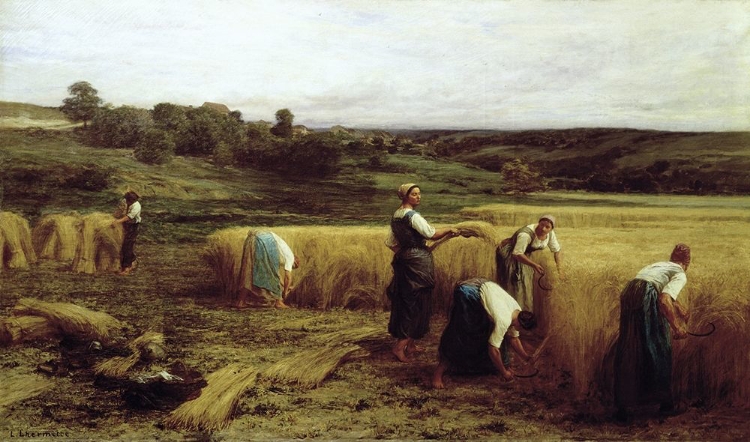 Picture of HARVEST TIME