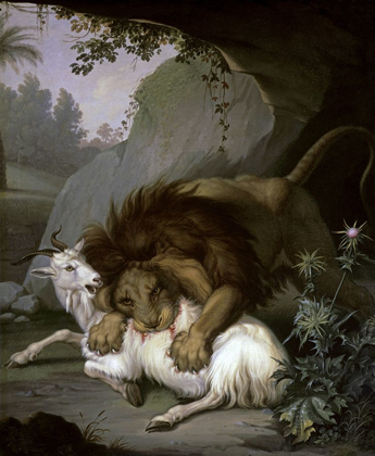 Picture of A LION ATTACKING A GOAT
