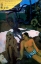 Picture of WHERE DO WE COME FROM DETAIL 3