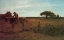 Picture of THE BRUSH HARROW