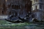 Picture of FESTA DELLA REGATA, 1902-04