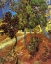 Picture of TREE IN GARDEN ST PAUL HOSPITAL