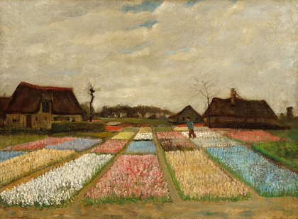 Picture of BULB FIELDS