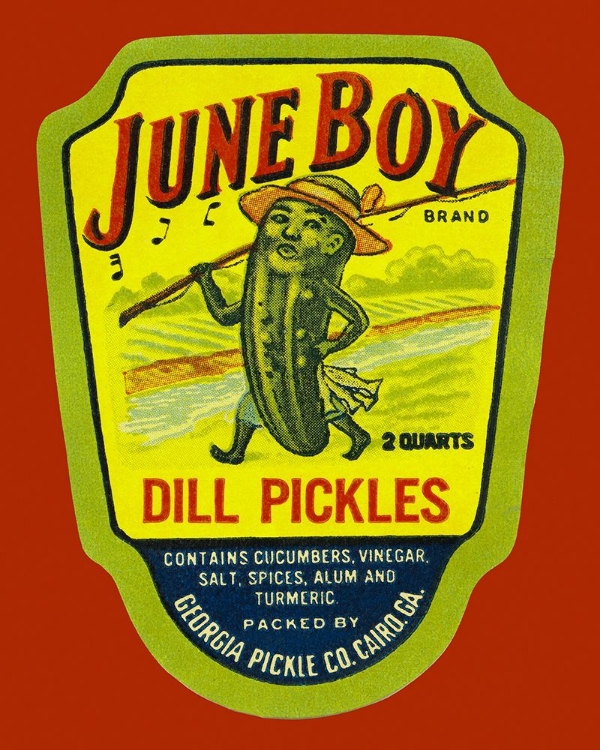 Picture of JUNE BOY DILL PICKLES