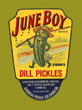Picture of JUNE BOY DILL PICKLES