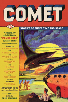 Picture of COMET: BIRD SPACESHIP