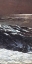 Picture of SUNLIGHT ON THE COAST (RIGHT)